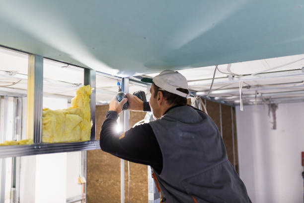 Best Insulation Maintenance and Repair in Penhook, VA